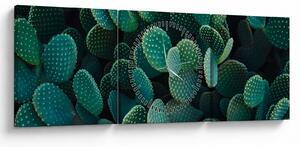 Tablou - Opuntia (cu ceas) (90x30 cm)