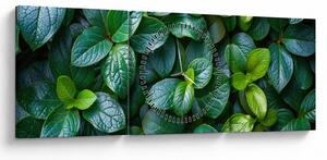 Tablou - Plante verzi (cu ceas) (90x30 cm)