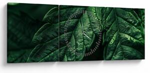 Tablou - Detaliu al foii (cu ceas) (90x30 cm)