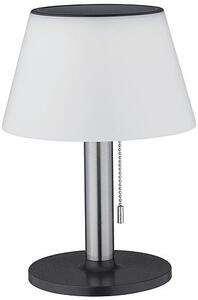 Paulmann Outdoor Solar lampă de podea 1x0.8 W alb-negru-crom 94309