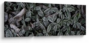 Tablou - Plante înghețate (cu ceas) (90x30 cm)