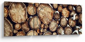 Tablou - Lemn în zăpadă (cu ceas) (90x30 cm)