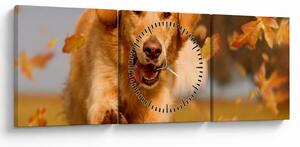 Tablou - Golden Retriever (cu ceas) (90x30 cm)