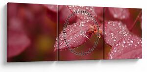 Tablou - Imagine macro a biletului (cu ceas) (90x30 cm)