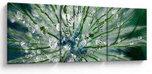 Tablou - Imagine macro a unei flori (cu ceas) (90x30 cm)