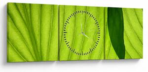 Tablou - Detaliu de frunză verde (cu ceas) (90x30 cm)