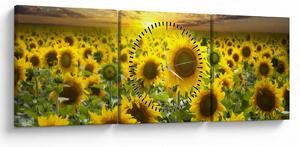 Tablou - Floarea-soarelui la apus de soare (cu ceas) (90x30 cm)