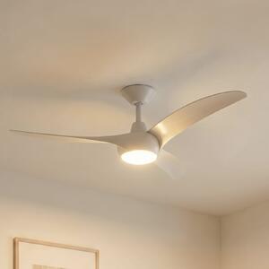 Lindby Ventilator de tavan cu LED Briya, alb, Ø 116 cm, CCT, reglabil, Alb, Camera de zi / sufragerie, Plastic, Modern