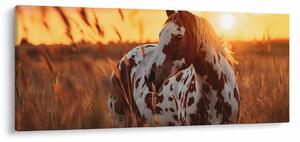 Tablou - Cal la Apus (120x50 cm)