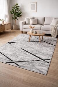 Covor Living Dormitor, Model16430-168, Dreptunghiular, Gri 60x110