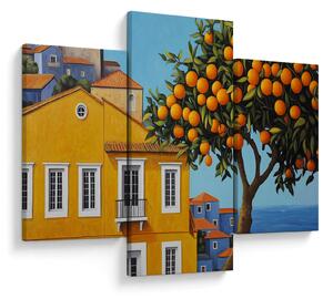 Tablou - Portocal (90x60 cm)