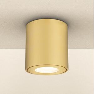 Brilagi - Spot pentru baie MIA 1xGU10/30W/230V 84x80 mm auriu IP54