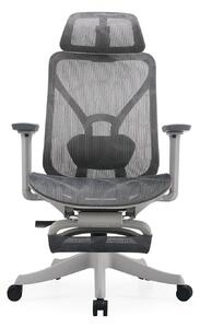 Scaun ergonomic DORO-HG-MF, pivotant, suport lombar 2D, tetiera 2D, cotiera 3D, suport picioare, reglare pe inaltime, mecanism inclinare/blocare in 3 pozitii, Mesh, Gri