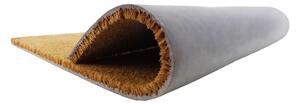 Covoraș intrare din fibre de cocos Artsy Doormats No Problems, 40 x 60 cm
