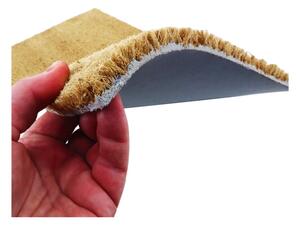 Covoraș de intrare din fibre de nucă de cocos 40x60 cm Wipe Your Paws – Artsy Doormats