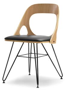 Z0ND0 Scaun Alik (stejar negru + negru). 1110879