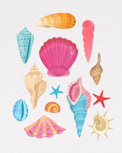 Ilustrare Seashells, Petra Lizde, (30 x 40 cm)