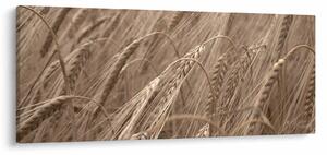 Tablou - Câmpul de aur (120x50 cm)