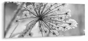 Tablou - Floare în timpul iernii (120x50 cm)