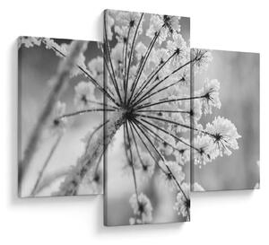 Tablou - Floare în timpul iernii (90x60 cm)