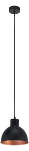 Eglo 49238 - Lustra TRURO 1 1xE27/60W/230V