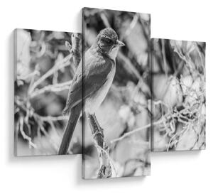 Tablou - Bluebird în timpul iernii (90x60 cm)