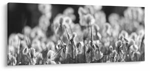 Tablou - Pajiște de vară (120x50 cm)