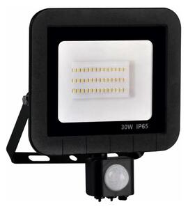 Proiector LED cu senzor LED/30W/230V