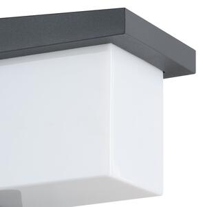 Eglo 95097 - Corp de iluminat perete exterior DESELLA 1 LED/10W/230V