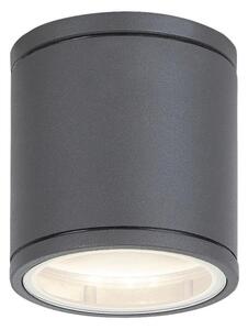 Rabalux 8150 - Plafonieră exterior AKRON 1xGU10/35W/230V IP54