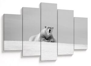 Tablou - Ursul polar (150x105 cm)