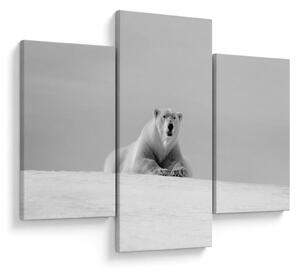 Tablou - Ursul polar (90x60 cm)