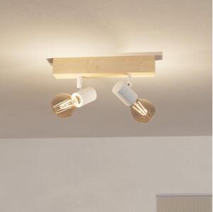 Eglo 33169 - Lampă spot TOWNSHEND 3 2xE27/60W/230V