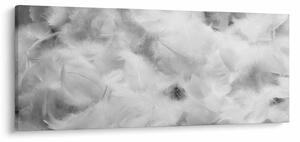 Tablou - Nori de pene (120x50 cm)