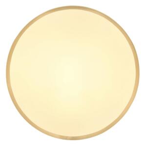 Plafonieră LED TIBEY LED/22W/230V d. 35 cm Globo 12381-22
