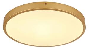Plafonieră LED TIBEY LED/22W/230V d. 35 cm Globo 12381-22