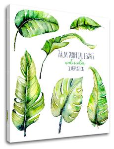 Tablouri canvas cu text Palm tropical leaves (tablouri moderne)