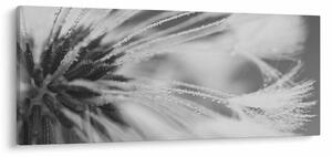 Tablou - Păpădie (120x50 cm)