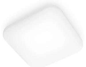 Plafonieră LED MAUVE LED/12W/230V 4000K Philips
