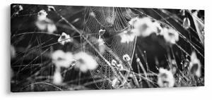 Tablou - Pânza de păianjen în pajiște (120x50 cm)