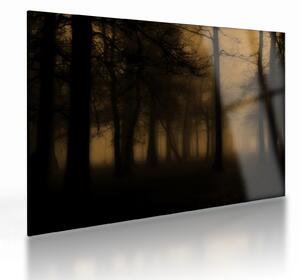 Tablou pe sticlă - Pădurea întunecată (70x50 cm)