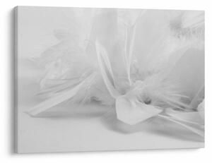 Tablou - Pene (70x50 cm)