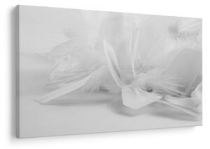 Tablou - Pene (90x60 cm)