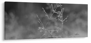 Tablou - Pajiște de țară (120x50 cm)
