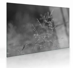 Tablou pe sticlă - Pajiște de țară (70x50 cm)