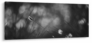 Tablou - Iarbă de pajiște (120x50 cm)
