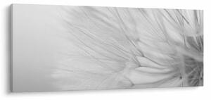 Tablou - Dandelion (120x50 cm)