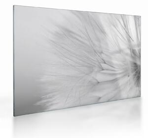 Tablou pe sticlă - Dandelion (70x50 cm)