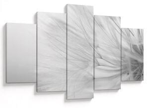 Tablou - Dandelion (150x105 cm)