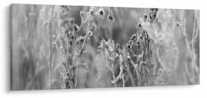 Tablou - Pajiște sălbatică (120x50 cm)